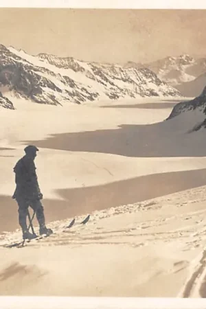 Zwitserland Skiër in de sneeuw Blick von Jungfraujoch g. den Aletschgletscher Schweiz Switzerland Europa HC60253 Ekspresowa dostawa