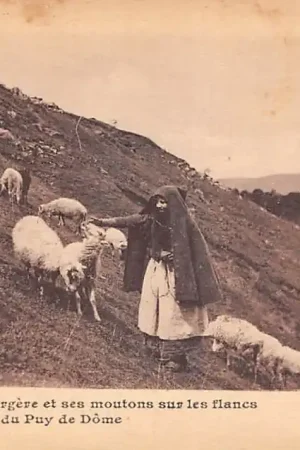 Zamów teraz Frankrijk Bergere et ses moutons sur les flancs du Puy de Dome Schaap herderin met haar schapen France Europa HC59445