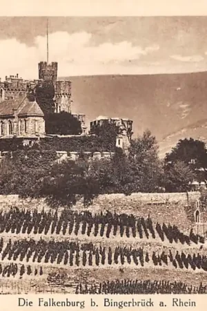 Duitsland Schloss Die Falkenburg b. Bingerbrück a. Rhein Bingen Kasteel Deutschland Europa HC59394 Niska cena
