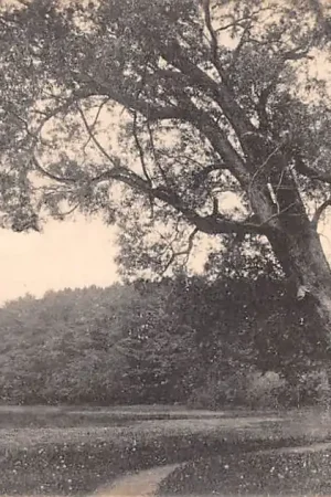 Duitsland Pförten N.-L. Niederlausitz Schloss Pförtener Park 1907 Polen Brody Powiat \\u017barski Lebus Kasteel Deutschland Polska Europa HC59419 Popularny