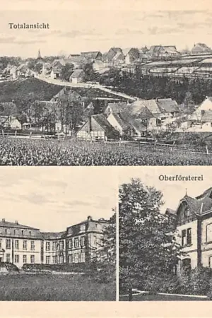 Tani Duitsland Schloss Fürstenberg Westf. Weser im Landkreis Holzminden Totalansicht Schloss und Oberforsterei Kasteel Deutschland Europa HC59392