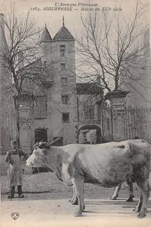 Frankrijk Aigueperse Maison de XVIe siecle Bœufs France Europa HC59371 Nowość