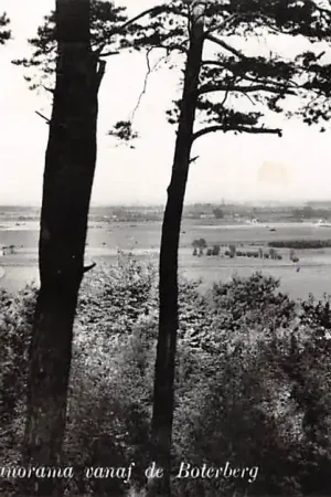 Berg en Dal Panorama vanaf de Boterberg 1958 Nijmegen HC47764 Kup teraz