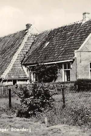 Terschelling Terschellinger Boerderij 1967 HC47709 Darmowa dostawa
