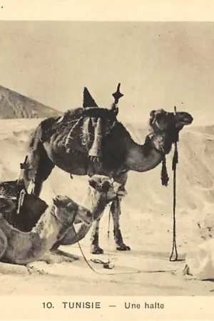 Tunesië 10. Tunisie Une Halte Klederdracht Afrika HC47650 Bezpieczna płatność