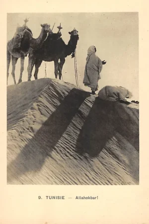 Tunesië 9. Tunisie Allahokbar! Moslims in gebed Klederdracht Afrika HC47649 Ostatnia szansa