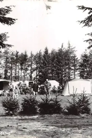 Annen Camping De Hondsrug 1966 Eext Drenthe 1966 HC47619 Wyprzedaż