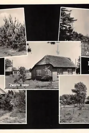 Tani Helvoirt Café Restaurant Pension Duinoord Bungalowpark Distelberg Vught 1954 HC47488