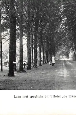 Gorssel Laan met speeltuin bij 't Hotel de Eikenboom 't Joppe Lochem HC47276 Premium