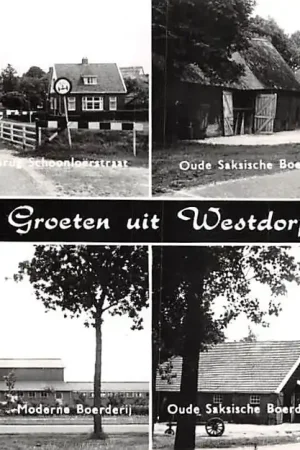 Westdorp Brug Schoonloerstraat Moderne en Oude Saksische Boerderij 1972 Drenthe Borger - Odoorn HC47229 Oferta