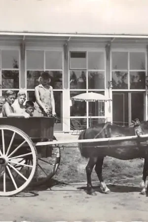 Wysoka jakość Bladel Camping De Achterste Hoef met kinderen in de pony wagen 1966 Noord-Brabant HC47210