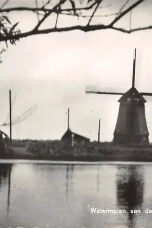 Sint Pancras Water molen aan de Twuiverweg 1963 Alkmaar HC46754 Oryginalny