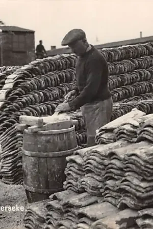 Yerseke 1939 Oesterpannencultuur Newo fotokaart HC46736 Rabat