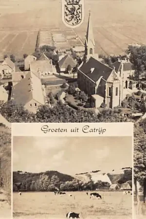 Catrijp Groeten uit 1957 Bergen (NH) HC46702 Wysoka jakość