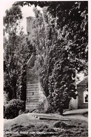 Dreumel Ruïne met Gemeentetoren West Maas en Waal HC46431 Autentyczny