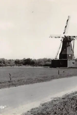 Zeeland (NB) Molen Oventje Maashorst Noord-Brabant HC46415 Autentyczny
