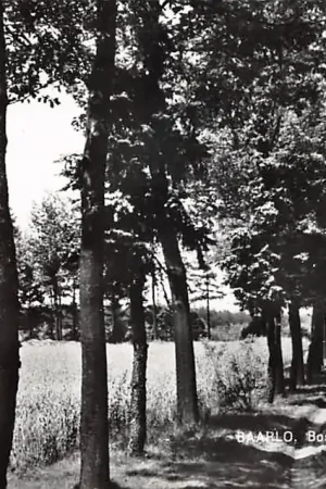 Zamów teraz Baarlo Boslaan bij Kasteel de Raaij Peel en Maas Limburg HC46214