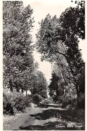 Chaam Kerk Dreef 1954 Alphen Noord-Brabant HC46193 Oferta limitowana