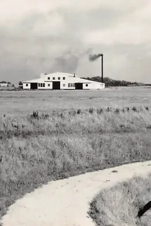 Vatrop Vismeel fabriek Wieringen 1956 IJsselmeer Zuiderzee HC46166 Zamów teraz