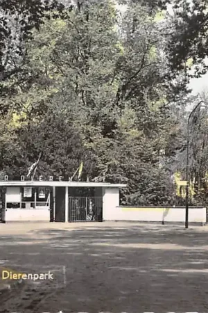 Emmen Ingang Noorder Dierenpark Zoo Dierentuin Drenthe 1958 HC46161 Ekspresowa dostawa