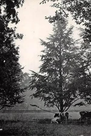 Doorn Park Huize Doorn HC45920 Najlepsza cena