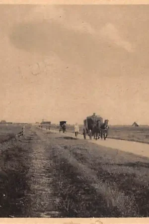 Tani Onbekend Nieuwe weg met \\