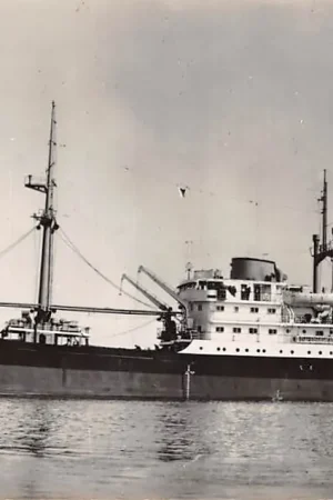 Bezpieczna płatność Scheepvaart Type m.v. Van CVloon Van Neck en Van Noort N.V. Koninklijke Paketvaart-Mij. Schepen HC45494