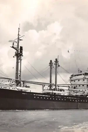 Scheepvaart type m.v. Houtman Roggeveen Schouten Van Waerwijck N.V. Koninklijke Paketvaart-Mij Schepen HC45493 Oferta limitowana