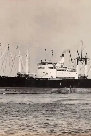 Darmowa dostawa Brazilie t.s. Loide Brasil Rederij Lloyd Brasileiro 1960 Schepen Scheepvaart Zuid-Amerika HC45492