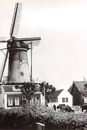 Bodegraven Molen 1973 Koeien in de wei Kerk HC45342 Promocja