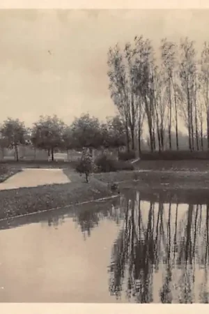 Bolsward Park 1931 HC45254 Darmowa dostawa