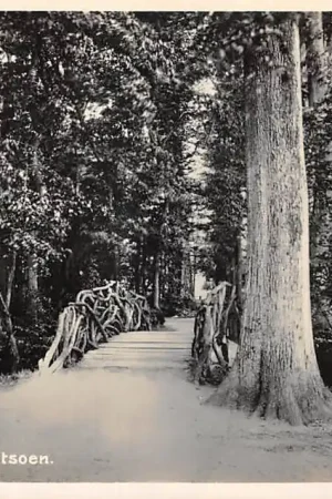 Ekspresowa dostawa Woerden Plantsoen met houten brug 1932 HC45252