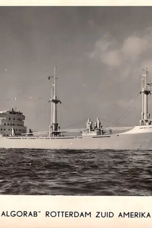 Darmowa dostawa Schepen Scheepvaart Rotterdam M.S. Algorab Zuid Amerika Lijn Van Nievelt Goudriaan & Co's Stoomvaart Maatschappij N.V. 1962 HC45186