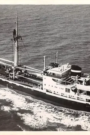 Amsterdam m.s. Adonis KNSM Luchtfoto Schepen Scheepvaart HC45185 Premium