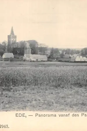 Ede Panorama vanaf den Paaschberg 1907 Veluwe HC45046 Kup teraz