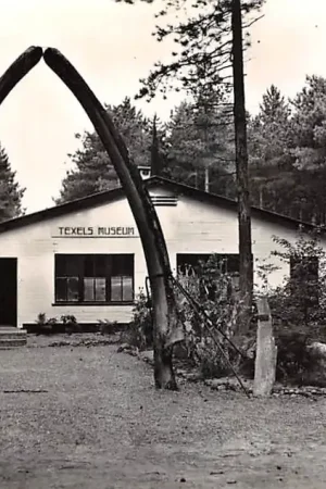 Zamów teraz Texel Texels Museum HC44748