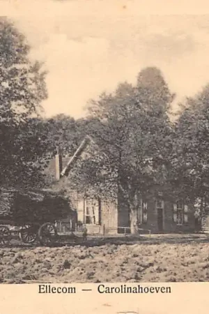 Ellecom Carolinahoeven Paard en wagen Boerderij Rheden Veluwe HC44713 Darmowa dostawa