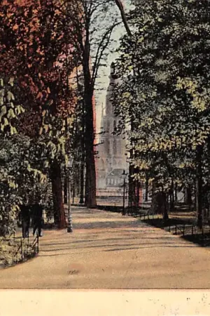 Breda Valkenberg met Kerk Tulp HC44479 Wysoka jakość