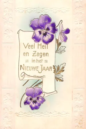 Fantasie Vintage Veel Heil en Zegen in het Nieuwe Jaar 1908 Reliëfkaart HC44402 Autentyczny