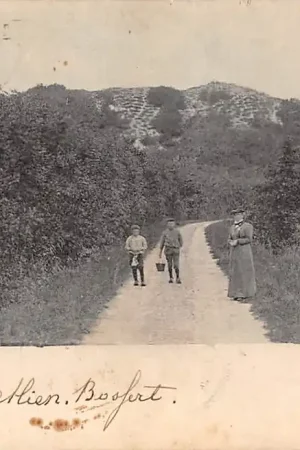 Wyprzedaż Schoorldam Duinweg naar Schoorl Kleinrondstempel 1904 HC44332