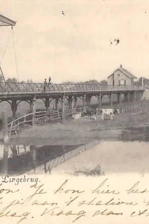 Geldermalsen Lingebrug met molen en koeien 1900 West Betuwe HC43614 Autentyczny