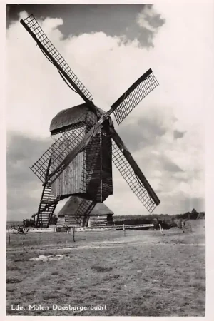 Ermelo Molen Doesburgerbuurt Veluwe HC43576 Oryginalny