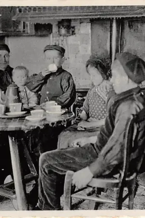 Tani Vierhouten Op de Veluwe Huiselijkheid Boeren gezin Klederdracht HC43073