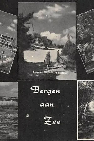 Tylko dziś Bergen (NH) aan Zee Groeten uit 1961 De Flat Speeltuin Reigersbos Zeegezicht en Droomlaantje HC42905