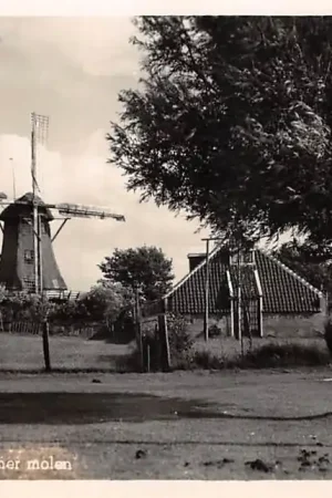 Terschelling Formerummer molen HC42617 Tani