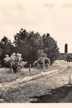 Tylko dziś Terschelling De Long-Way Vuurtoren HC42613