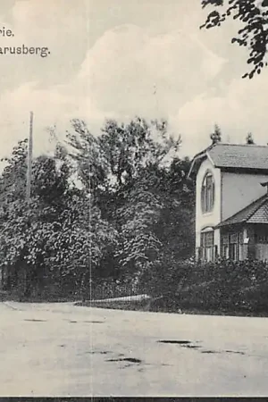 Soest Gereformeerde Pastorie Weg naar den Lazarusberg 1922 Nauta 9048 HC42267 Kup teraz