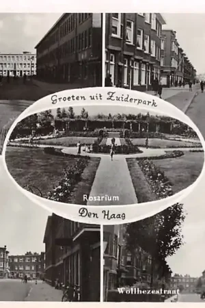 's-Gravenhage Groeten uit het Zuiderpark Doorwerthstraat Hoenderlostraat Heelsumstraat Rosarium en Wolfhezestraat HC42193 Autentyczny