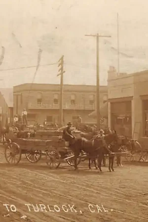 USA Hauling Grapes to Turlock California Fotokaart Paard en wagen Noord-Amerika HC41749 Premium