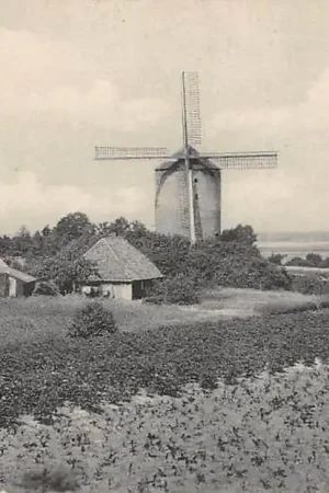 Szybka dostawa Zeddam Korenmolen 1935 Molen HC41653